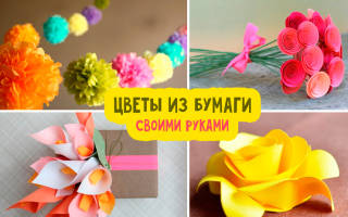 Как сделать цветок из бумаги своими руками: подробное описание действий