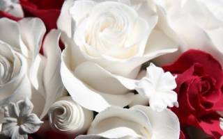 Изделия из холодного фарфора: основные рекомендации при работе