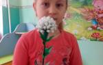 Поделки своими руками из ватных палочек для веселого времяпровождения