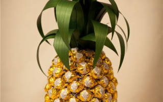 Бутылка шампанского, украшенная конфетами: готовим вкусный подарок для друзей и родных