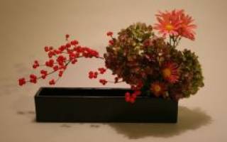 Икебана «осень» своими руками: увлекательные уроки для желающих