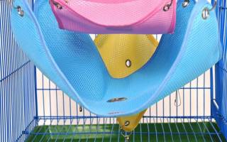 Как сделать гамак своими руками для домашних любимцев