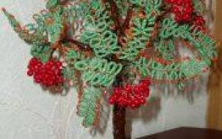 Рябина из бисера: схема с пошаговым описанием работы