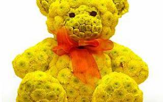 Игрушки из живых цветов: как удивить необычным подарком