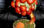 Мастер-класс по топиарию из каштанов своими руками: украшаем дом по-осеннему