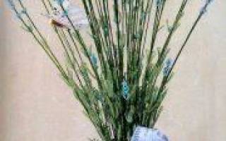 Схема лаванды из бисера: как быстро и легко сплести нежный букет