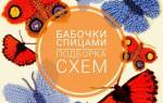 Узор «бабочка» спицами: стильная шапочка для холодных вечеров