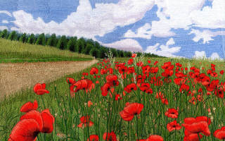 Схемы вышивки гладью на одежде: оригинальные украшения на блузе и джинсах