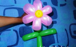 Цветок из шарика-колбаски: аэродизайн не только для профессионалов