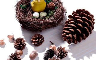 Мастер-класс по вазе из шишек: используем природные материалы в декоре